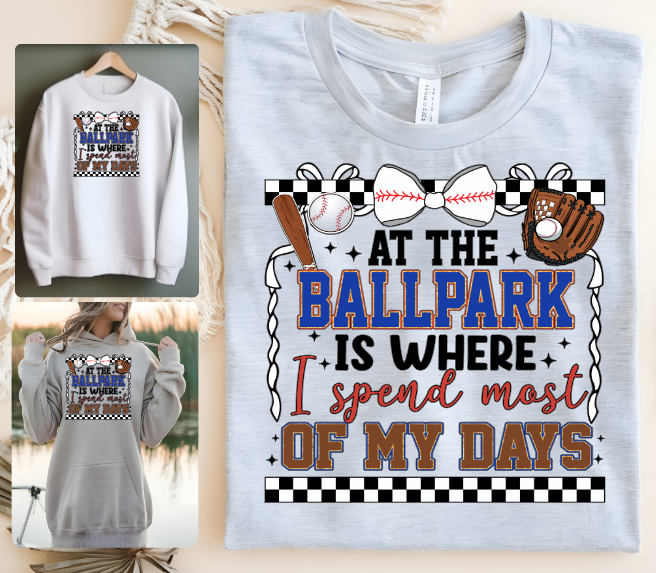 At The Ballpark Where I spend Most Of My Days Youth 001