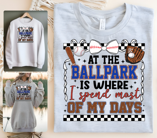 At The Ballpark Where I spend Most Of My Days Plus 001